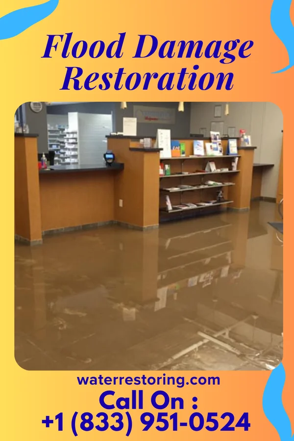 Flood Damage Restoration in Ekron, KY