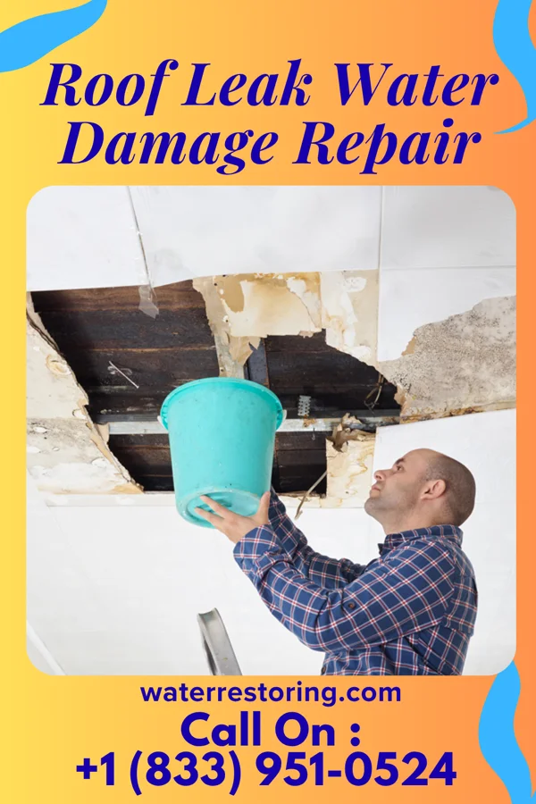 Roof Leak Water Damage Repair in Ekron, KY